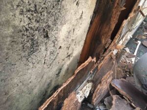 井原市F様邸ベランダ腐朽の進行とカビ