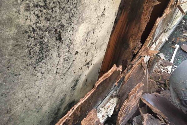 井原市F様邸ベランダ腐朽の進行とカビ