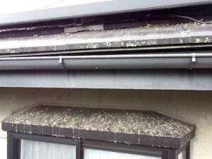 笠岡市S様邸屋根調査３