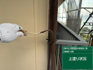 笠岡市S様邸竪樋塗装2