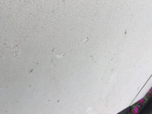 笠岡市S様邸外壁点検4