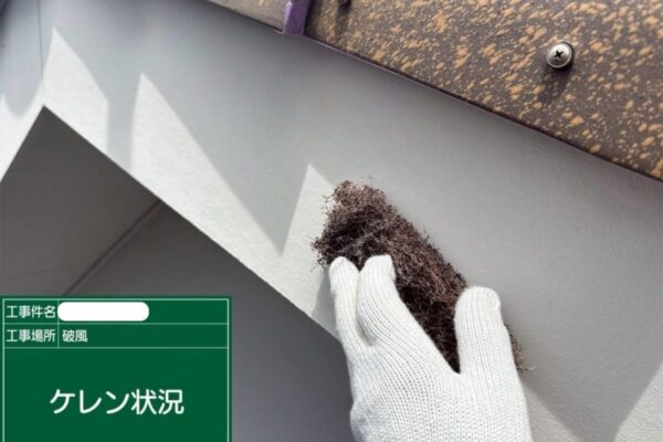 福山市S様邸上塗りアイキャッチ